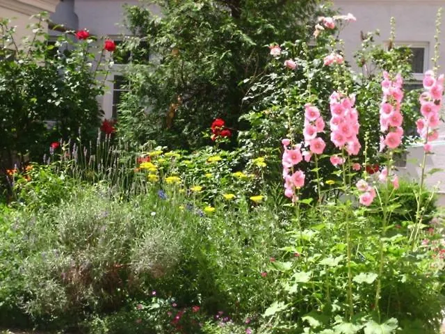 Апартаменти Freundliches Mit Innenhof-garten